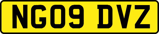 NG09DVZ