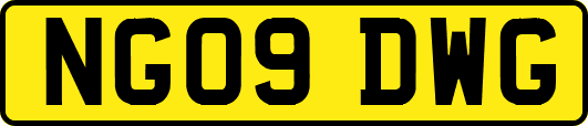NG09DWG