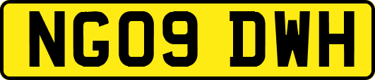 NG09DWH
