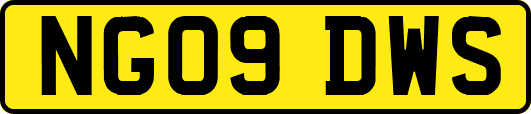 NG09DWS
