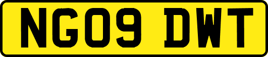 NG09DWT