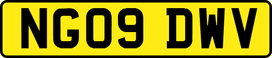 NG09DWV