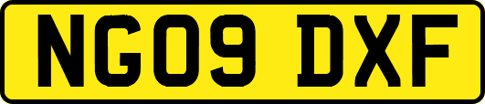 NG09DXF