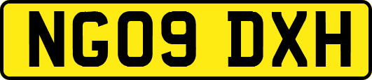 NG09DXH