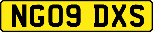 NG09DXS