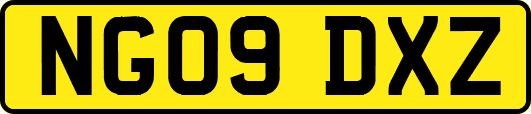 NG09DXZ