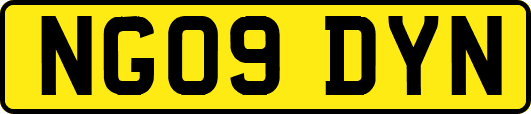 NG09DYN