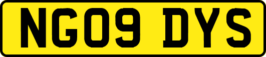 NG09DYS