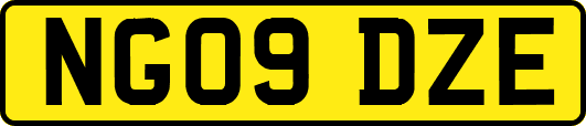 NG09DZE
