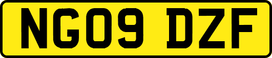 NG09DZF