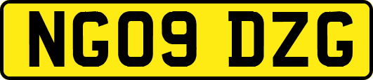 NG09DZG