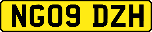 NG09DZH