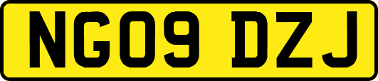 NG09DZJ