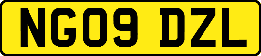 NG09DZL