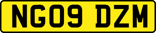 NG09DZM