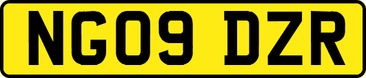 NG09DZR