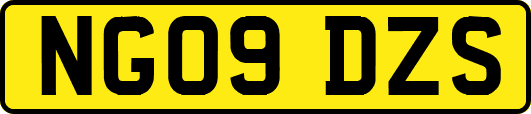 NG09DZS
