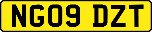 NG09DZT