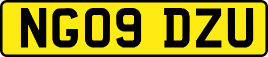 NG09DZU