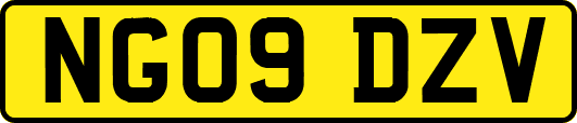 NG09DZV