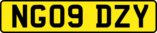 NG09DZY