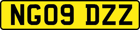 NG09DZZ