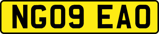 NG09EAO