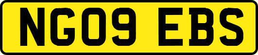 NG09EBS