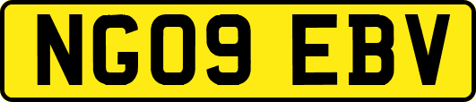 NG09EBV