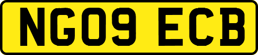 NG09ECB