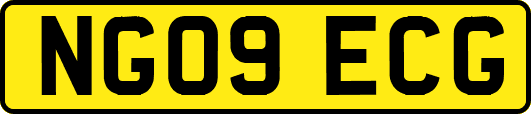 NG09ECG
