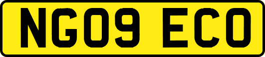 NG09ECO