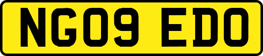 NG09EDO
