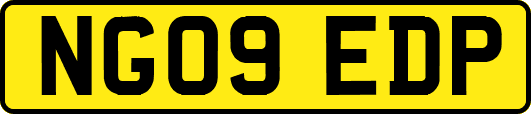 NG09EDP
