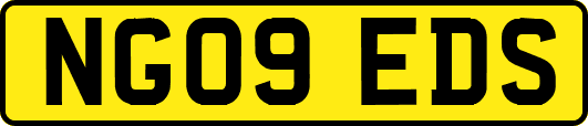 NG09EDS