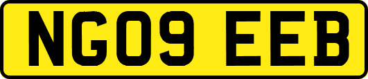 NG09EEB