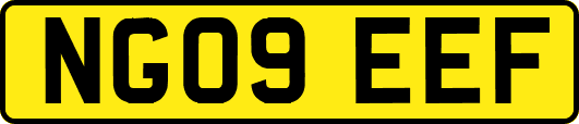 NG09EEF