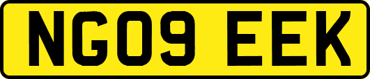 NG09EEK