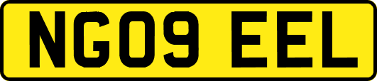 NG09EEL
