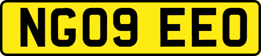 NG09EEO