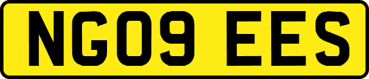 NG09EES