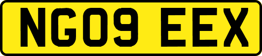 NG09EEX