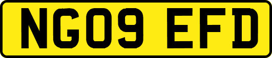 NG09EFD