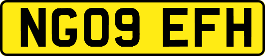 NG09EFH