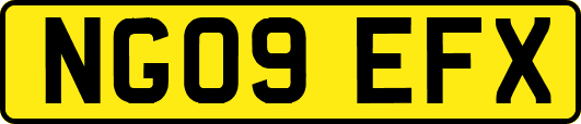 NG09EFX