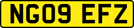 NG09EFZ