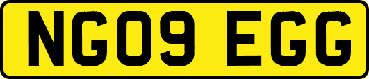 NG09EGG