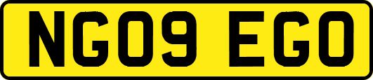 NG09EGO