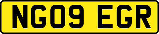 NG09EGR