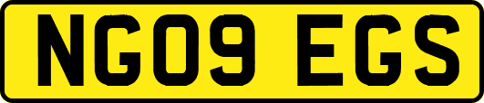 NG09EGS